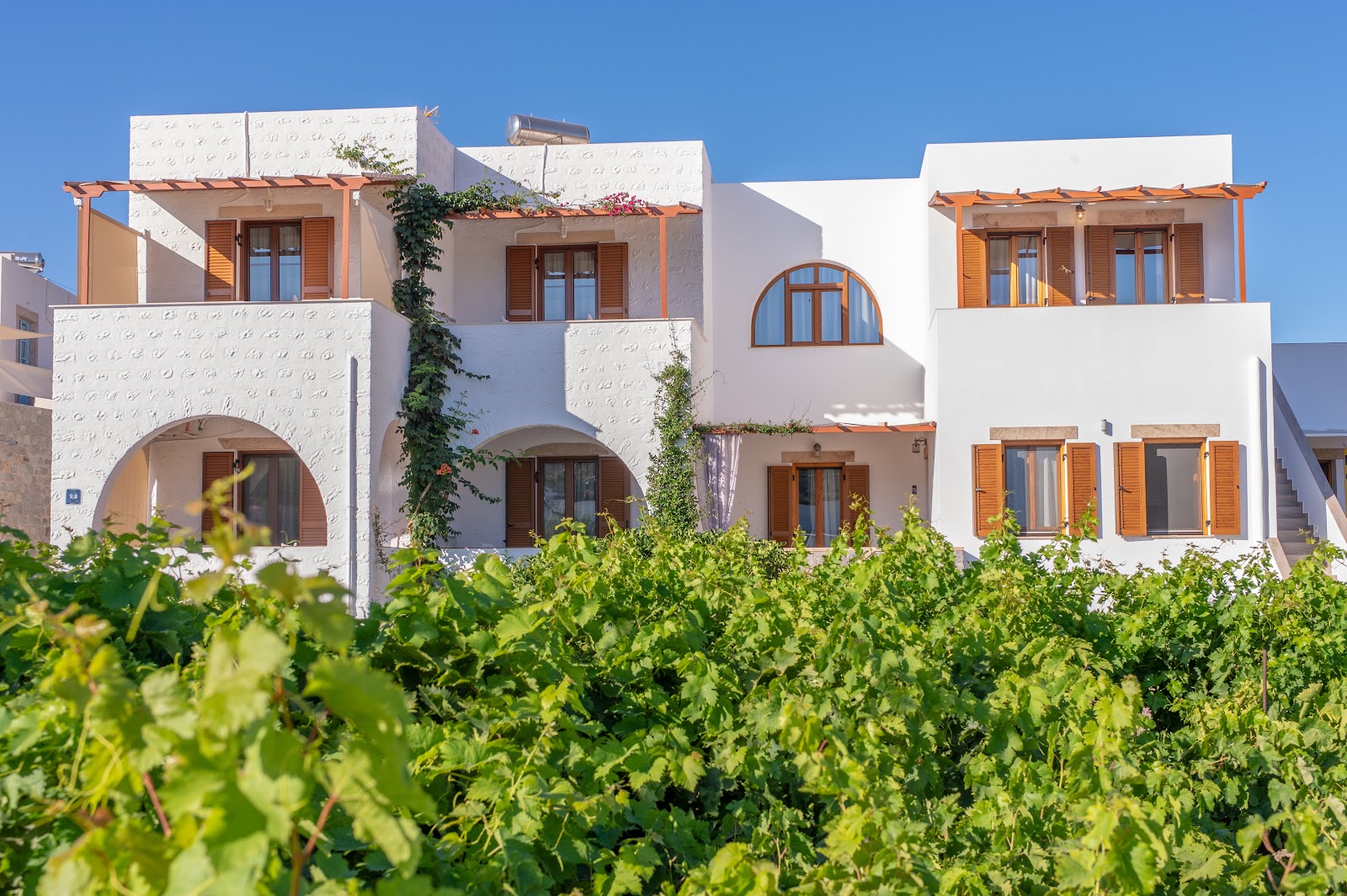 Petridis Patmos